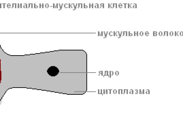 Зеркало кракен kr2web in